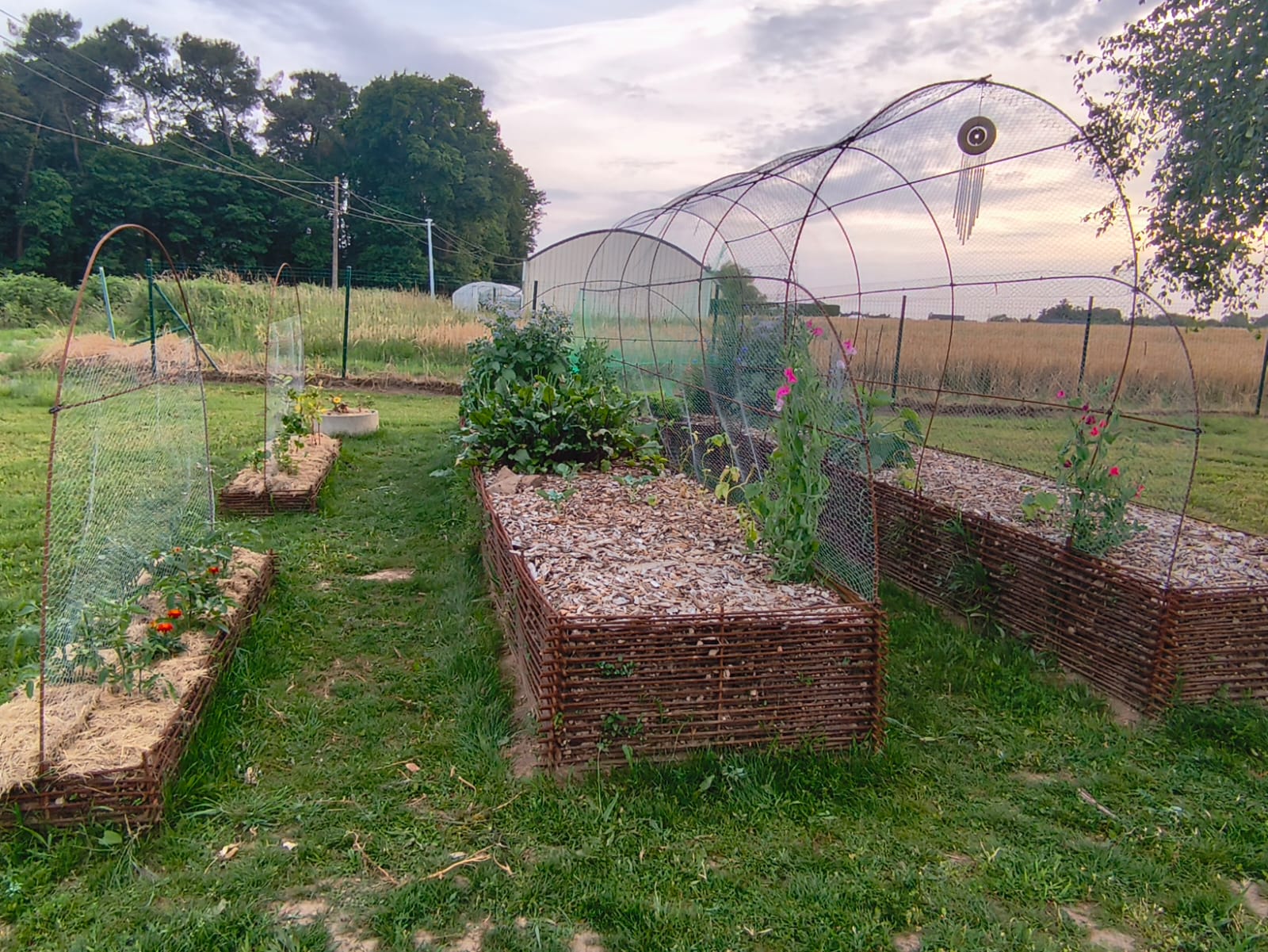 Tuteur pour plante